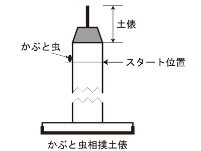 全国かぶと虫相撲大会土俵