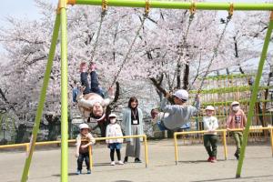 満開の桜が咲き誇っている校庭で2つのブランコにそれぞれ楽しそうに乗っている 児童とそれを眺めて笑っている先生と児童たちの写真
