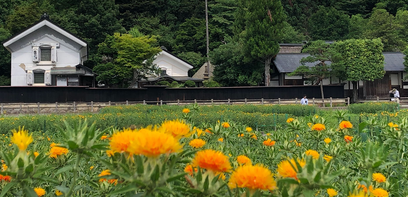nakayama2