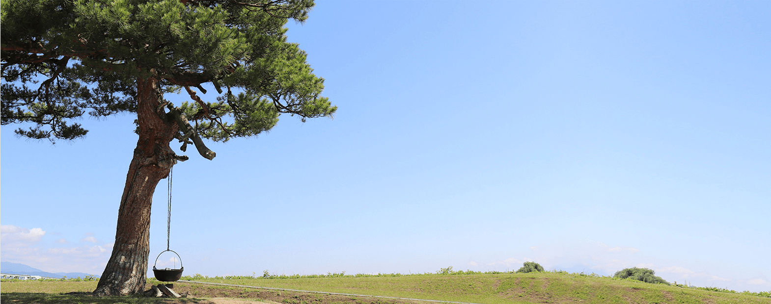 草原に鍋がぶら下がっている木の画像