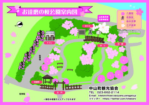 お達磨の桜公園内で、八重桜、枝垂桜、染井吉野、江戸彼岸の桜がどこの箇所で植えられているのか一目で分かる案内図イラスト画像