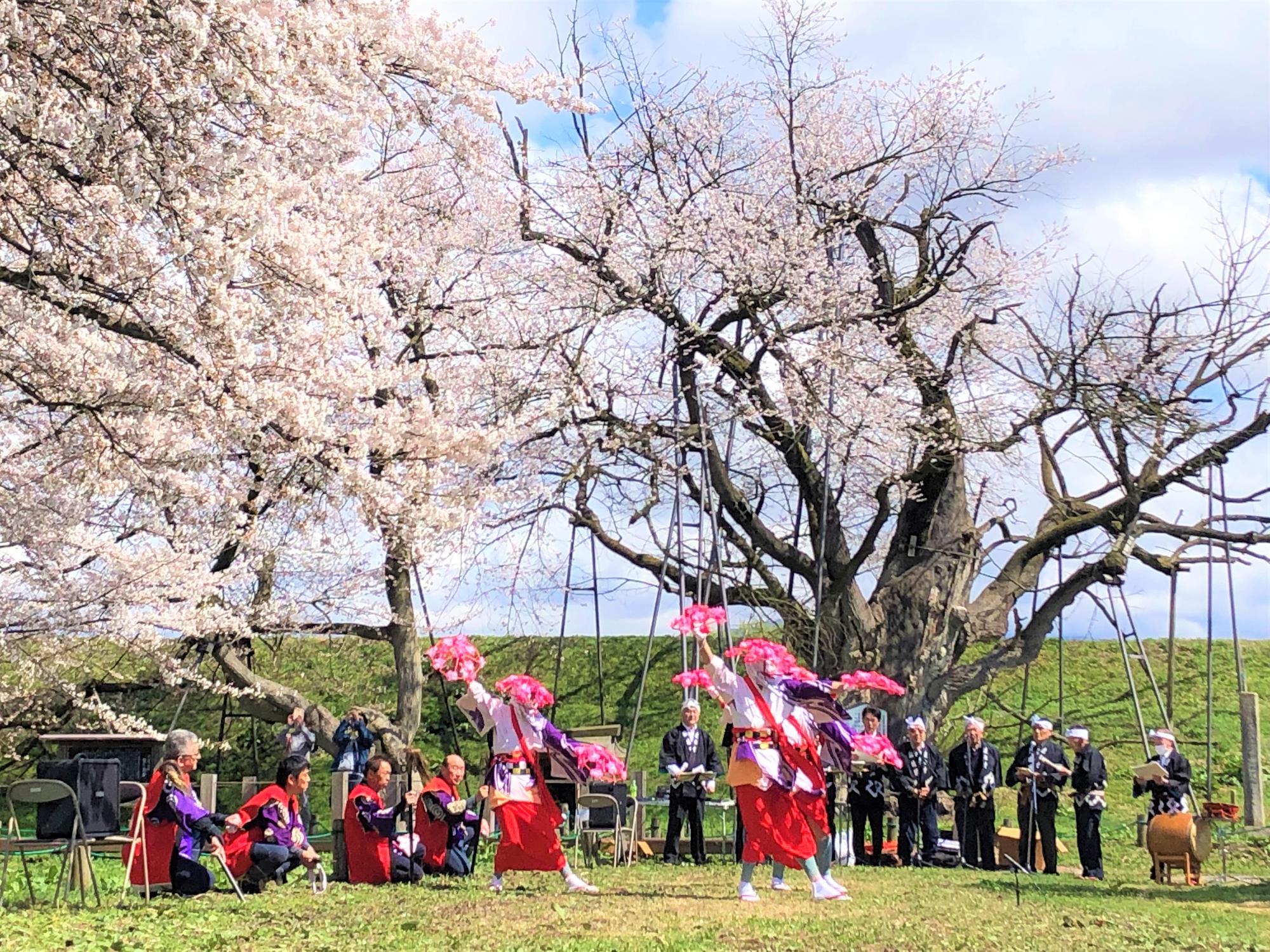 達磨寺田植踊り