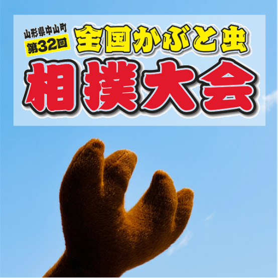 かぶと虫相撲大会のサムネイル画像