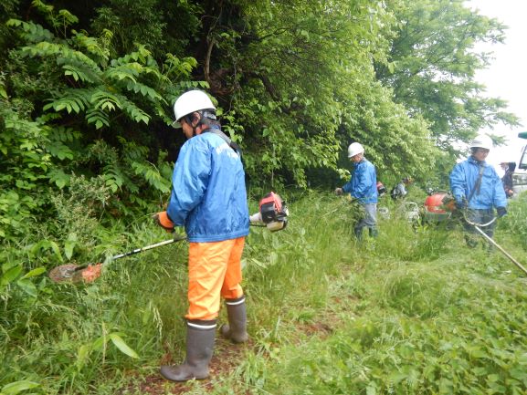 ハイキングコース刈払い